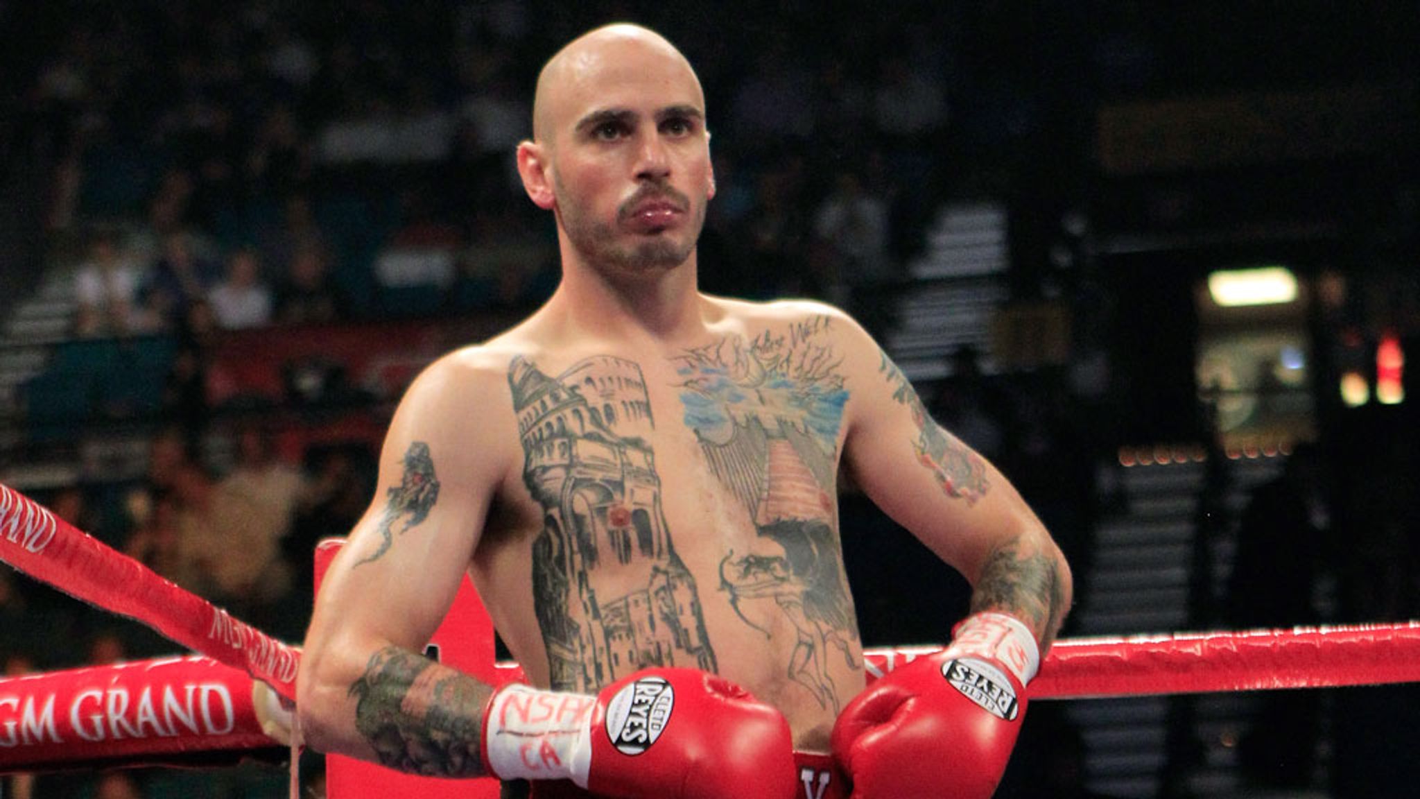 Kelly Pavlik Kelly Pavlik